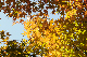 image0133