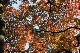 image0138