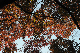 image0141