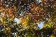 image0142