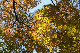 image0143