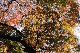 image0144