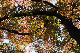 image0145