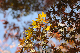 image0147