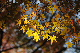 image0149