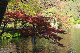 image0157