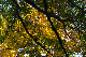 image0158
