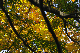 image0160