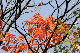 image0166