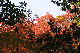 image0167