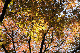 image0172