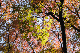 image0173