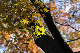 image0174