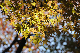 image0175