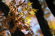 image0176
