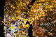 image0189