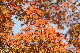 image0191