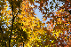 image0192