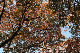 image0194