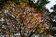 image0196