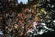 image0197