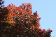 image0200