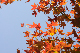 image0212