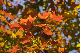image0213