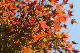image0214