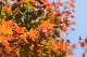 image0216
