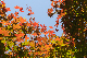 image0218