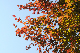 image0222