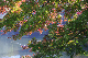 image0224