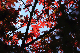 image0227