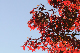 image0231