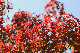 image0232