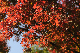 image0233