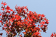 image0234