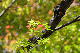 image0236