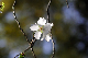 image0237