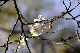 image0238