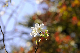 image0239