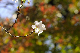 image0240