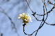 image0241