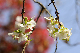 image0242