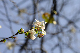 image0243