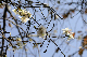 image0244