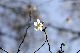 image0246