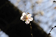 image0248