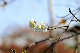 image0249